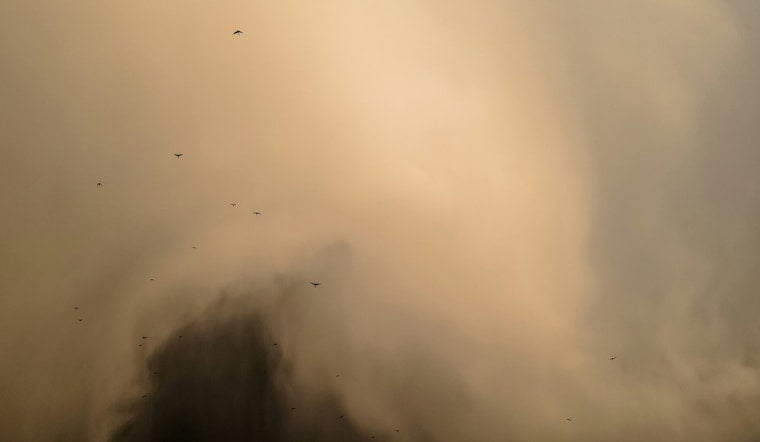 Dust Devil Spins Through Covington Cornfield as Mid-South Heat Wave Bakes Tipton County