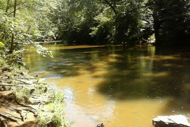 Dutch Tourist Killed in Manassas Creek in 1999 — Police Still Have No Suspect