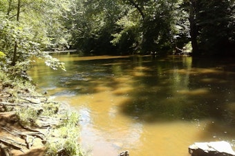 Dutch Tourist Killed in Manassas Creek in 1999 — Police Still Have No Suspect