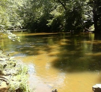 Dutch Tourist Killed in Manassas Creek in 1999 — Police Still Have No Suspect