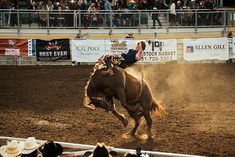 Dyersburg Rodeo Kicks Off Dyer County Fair's 79th Year With Bucking Bulls