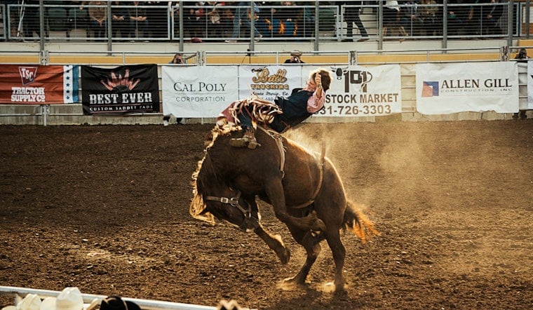 Dyersburg Rodeo Kicks Off Dyer County Fair's 79th Year With Bucking Bulls