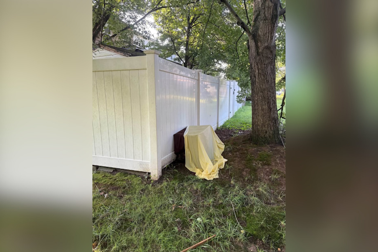 Edgewood Dogs Found Dead in Dumped Crate, Police Investigate