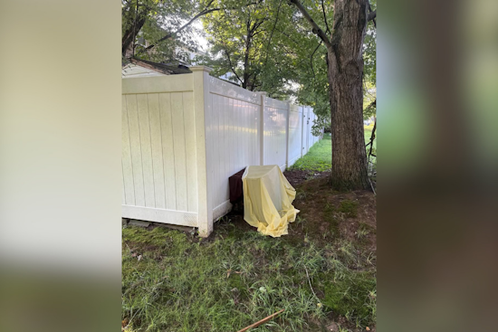Edgewood Dogs Found Dead in Dumped Crate, Police Investigate