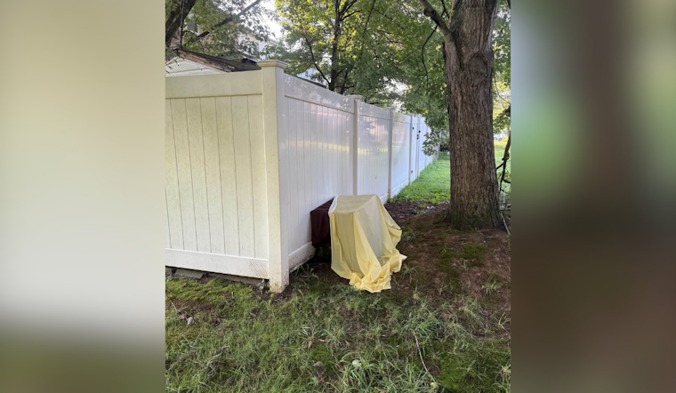 Edgewood Dogs Found Dead in Dumped Crate, Police Investigate
