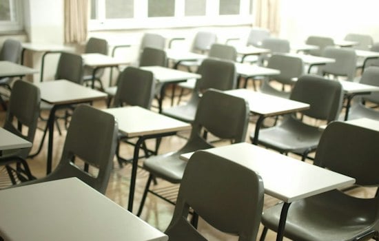 Edwardsville Paraprofessional Fired After Telling State Rep Trans Rights Are Human Rights