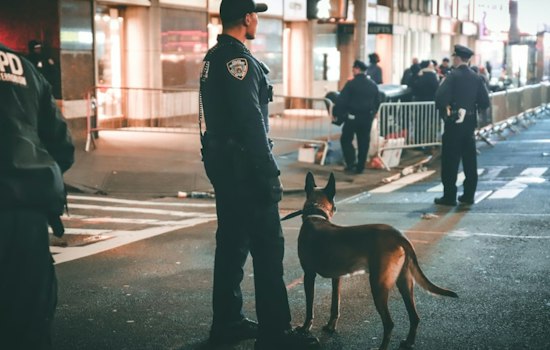 El Paso County Sheriff's Office K9 Program