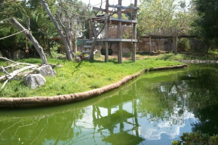 El Paso Zoo's Adults-Only Brew at the Zoo Returns With Beer, DJs and Night Habitats