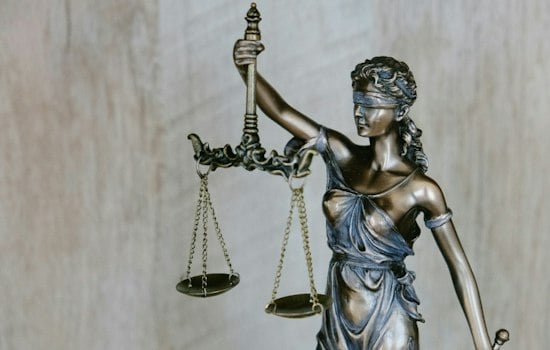 Ellicott City Caregiver Gets 10-Year Term After Video Showed Her Dragging Disabled Woman