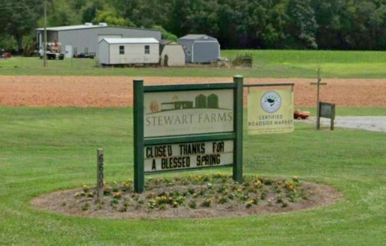 Enoree Farm Carves Dolly Parton's Face Into Corn Maze, Sends Proceeds to Literacy Charity