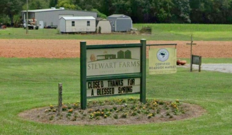 Enoree Farm Carves Dolly Parton's Face Into Corn Maze, Sends Proceeds to Literacy Charity