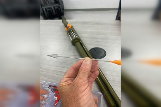 Erin, Tennessee Cats Shot With Blowgun Darts, Charges Pending Against Three
