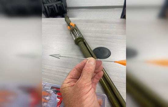 Erin, Tennessee Cats Shot With Blowgun Darts, Charges Pending Against Three