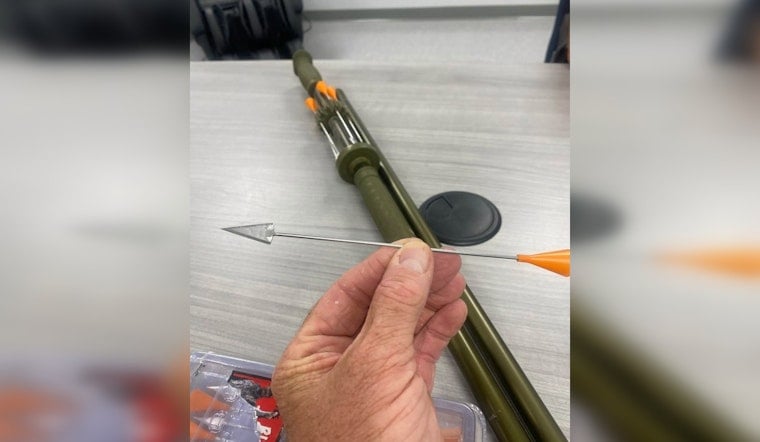 Erin, Tennessee Cats Shot With Blowgun Darts, Charges Pending Against Three