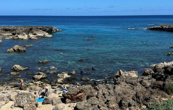 FAA Grounds Oahu Chopper Firm's Bid to Keep Dropping Divers Into the Ocean