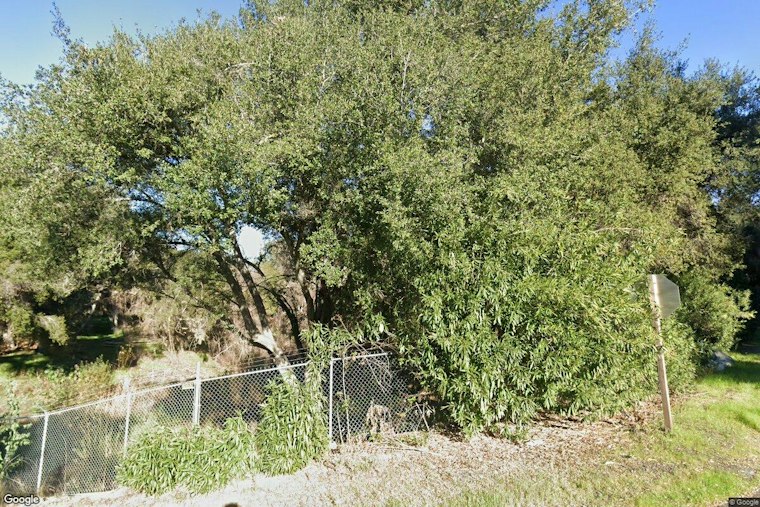Fallbrook Vegetation Fire Halted Near De Luz, Evacuation Warnings Lifted