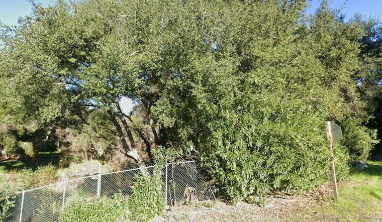 Fallbrook Vegetation Fire Halted Near De Luz, Evacuation Warnings Lifted