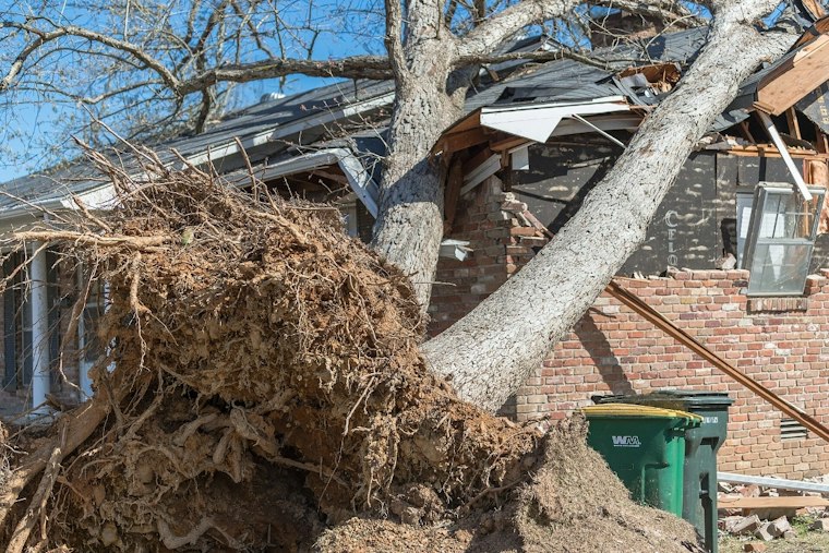 Falling Limb Syndrome Suspected After Trees Crush Wake County Home And Truck