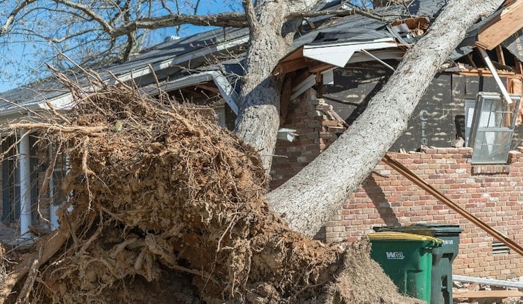 Falling Limb Syndrome Suspected After Trees Crush Wake County Home And Truck