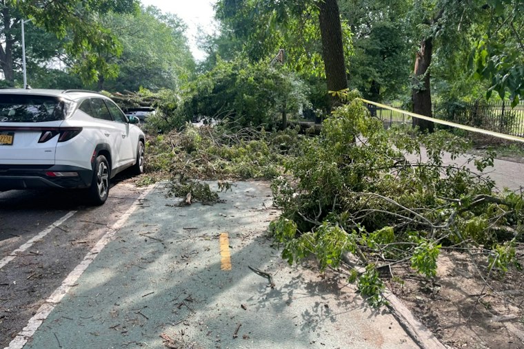 Falling Tree Kills 56-Year-Old Man In East New York Parking Lot