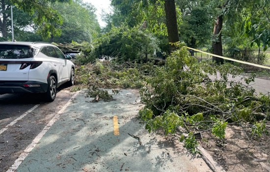 Falling Tree Kills 56-Year-Old Man In East New York Parking Lot