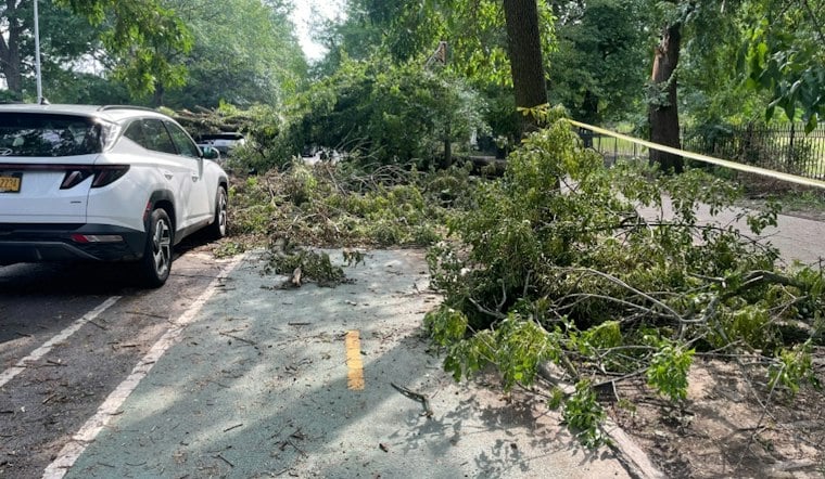 Falling Tree Kills 56-Year-Old Man In East New York Parking Lot