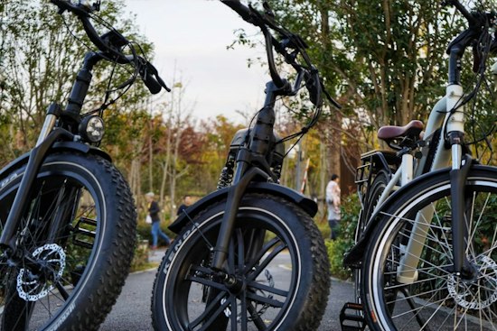 Fenton Bans E-Bikes on Sidewalks After Riders Clocked at 40 MPH