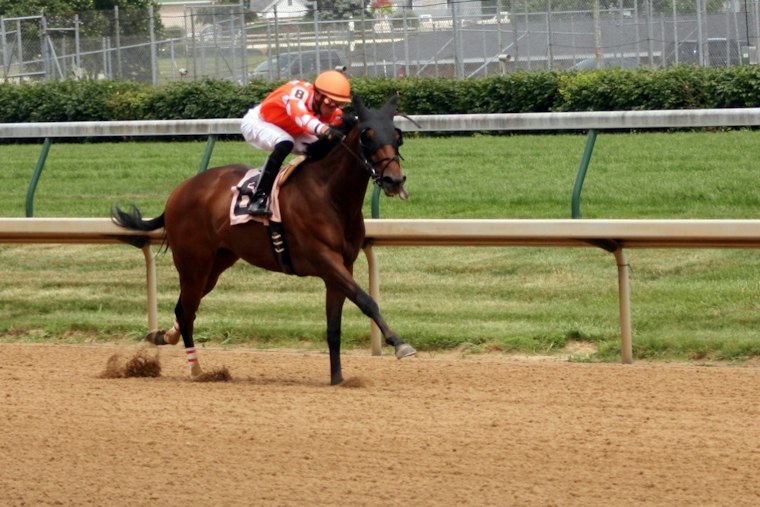 Fisherville Jockey Gabriel Saez Charged With Domestic Violence