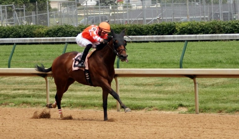 Fisherville Jockey Gabriel Saez Charged With Domestic Violence