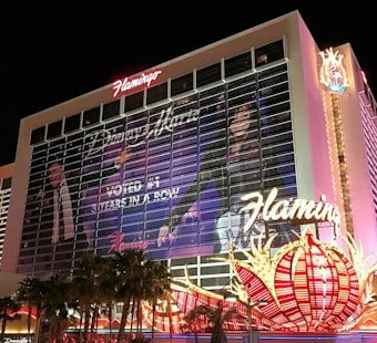 Flamingo Rape Suit Says Caesars Ignored Man's Lifetime Trespass, Prior Incidents