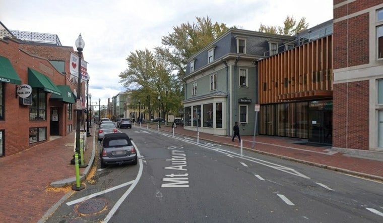 Florida Wellness Chain Pura Vida Miami Lands First New England Cafe in Harvard Square