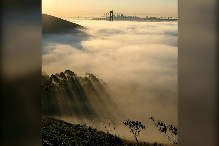 Fog City Chill: San Francisco Cools Off Before Weekend Warmup