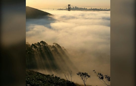 Fog City Chill: San Francisco Cools Off Before Weekend Warmup