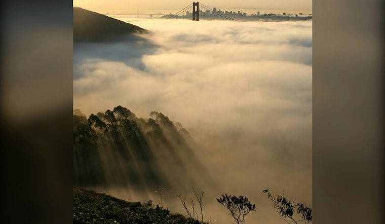 Fog City Chill: San Francisco Cools Off Before Weekend Warmup