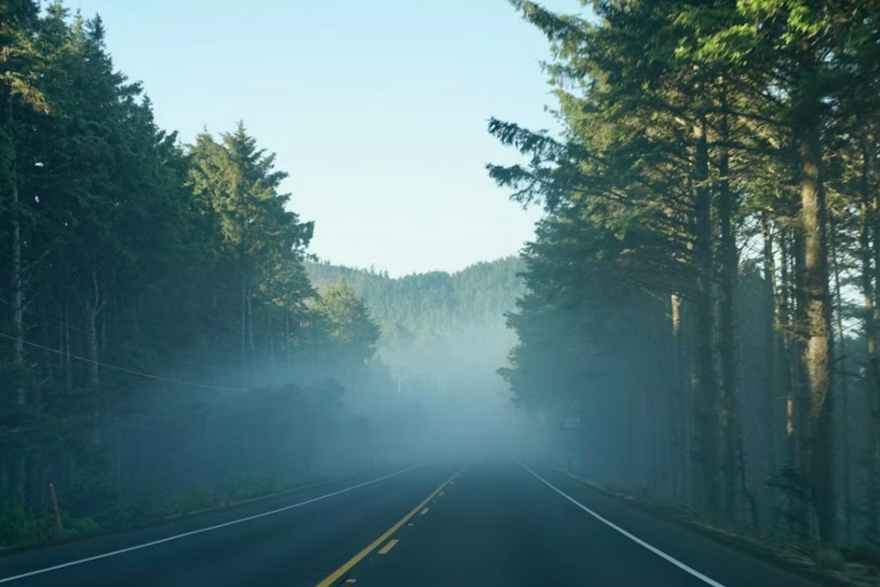 Foggy St. Louis Morning To Sizzle In 90-Degree Weekend Heat
