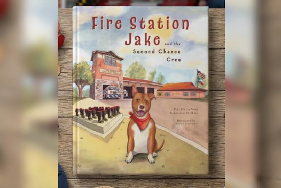 Fort Worth Firehouse Dog Jake's Rescue Story Is Becoming A Children's Book