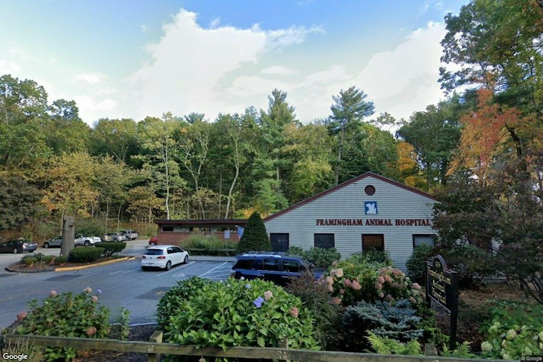 Framingham Man Dragged Dog Behind Truck for 10 Minutes, Bystanders Say