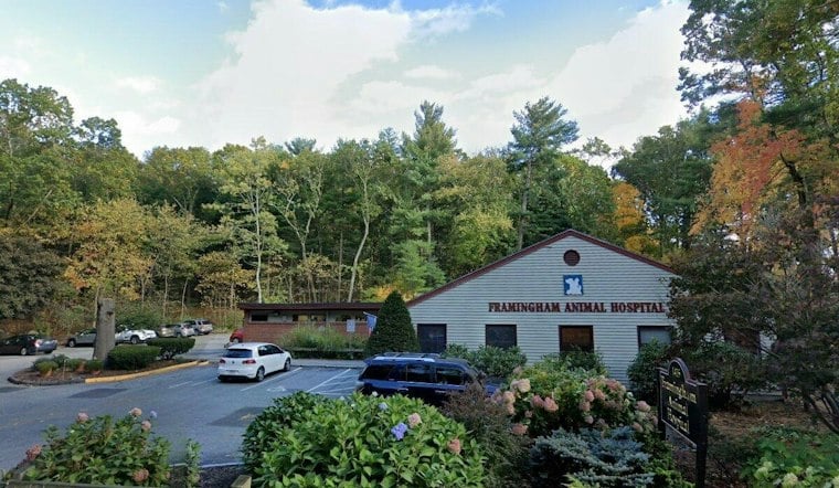 Framingham Man Dragged Dog Behind Truck for 10 Minutes, Bystanders Say