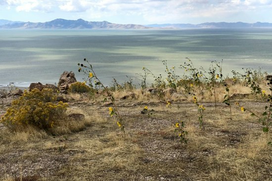 Fremont Fire Spreads on Great Salt Lake Island as Crews Race for Access