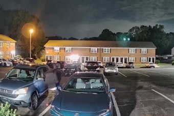 Gastonia Police Hunt Pair Caught on Video Rifling Through Cars, Grabbing Gun
