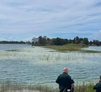 Gator Bites Child at Weeki Wachee Preserve, Traps Set for 9-to-12-Foot Reptile