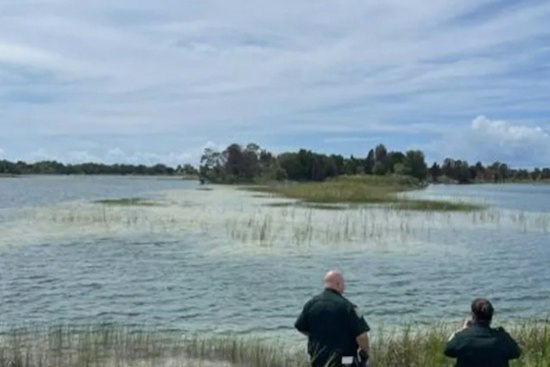 Gator Bites Child at Weeki Wachee Preserve, Traps Set for 9-to-12-Foot Reptile