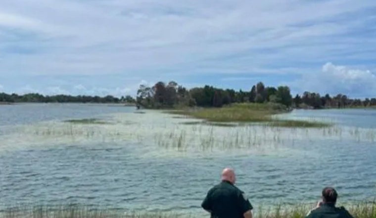 Gator Bites Child at Weeki Wachee Preserve, Traps Set for 9-to-12-Foot Reptile