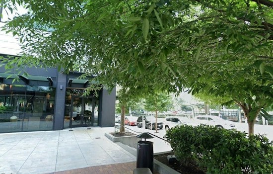 Gelato-Tea Mashup CILO Lab Replaces Boba Chain at Bellevue Connection