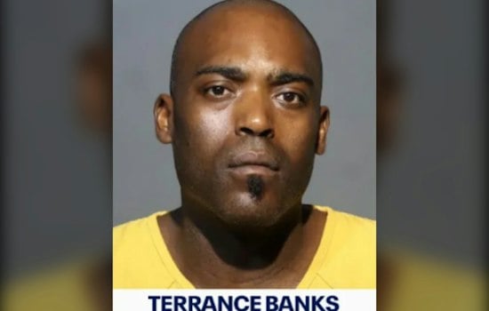 Geneva Fire That Killed 15 Dogs Leaves Suspect Jailed Without Bond