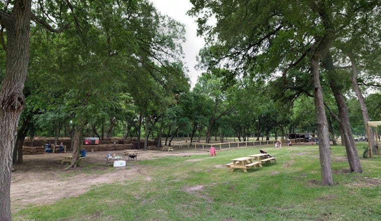 Georgetown Farm Rebounds From 2025 Flood With Bigger Fall Festival, 4.5-Acre Maze