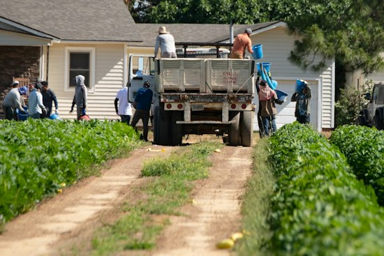 Georgia Indictment Alleges Threats, Confiscated Papers Trapped Farmworkers