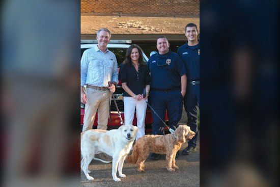 Germantown Firefighters Rescue Two Dogs After CO Alarm at Home