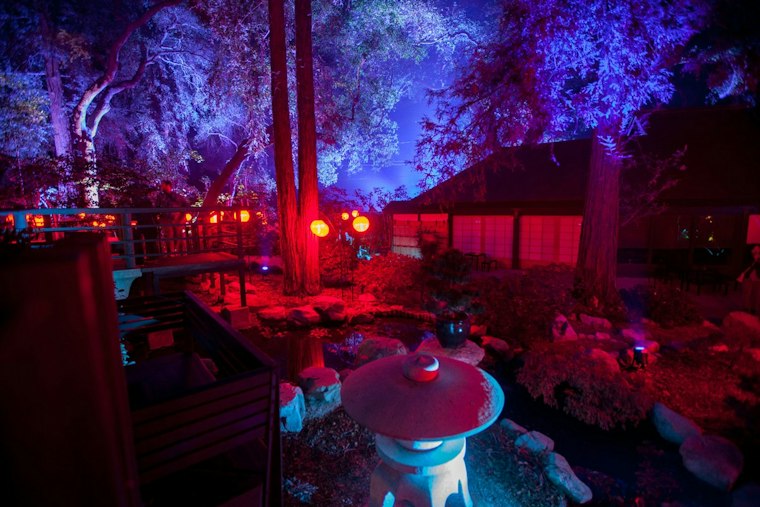 Ghostly Wire Figures Glow Under UV Light at Descanso Gardens This Fall