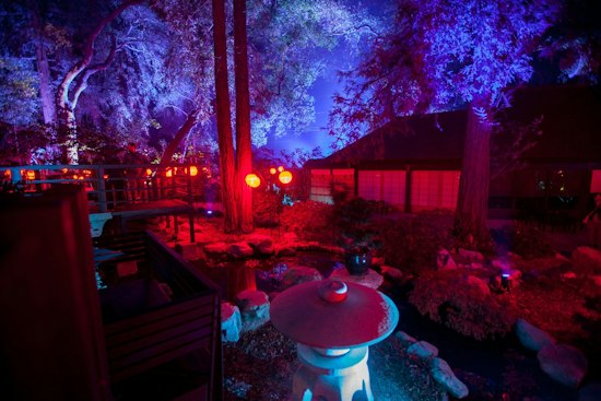 Ghostly Wire Figures Glow Under UV Light at Descanso Gardens This Fall